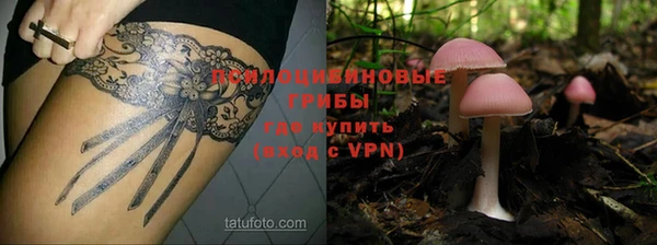 герыч Протвино
