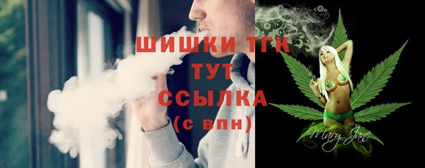 индика Дегтярск