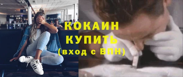 прущие грибы Покров