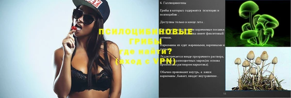 молекула духа Покровск