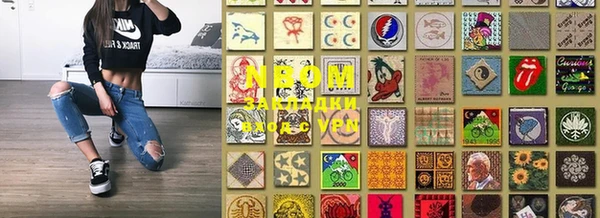 прущие грибы Покров