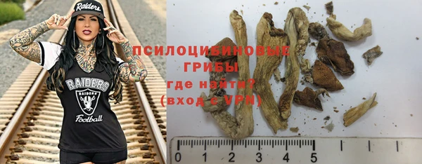 молекула духа Покровск