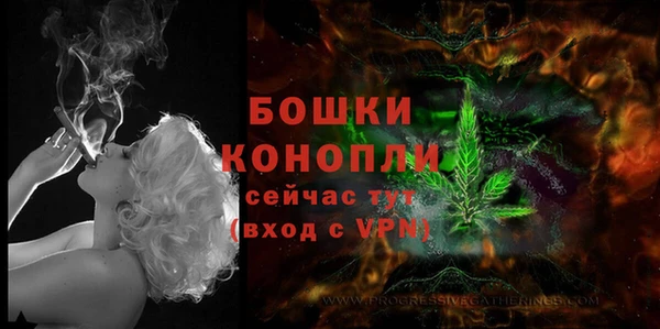 молекула духа Покровск