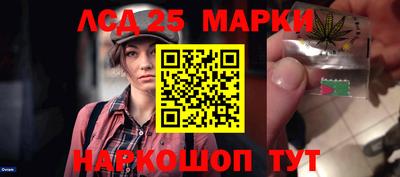 индика Абинск