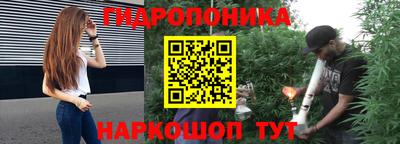 индика Абинск