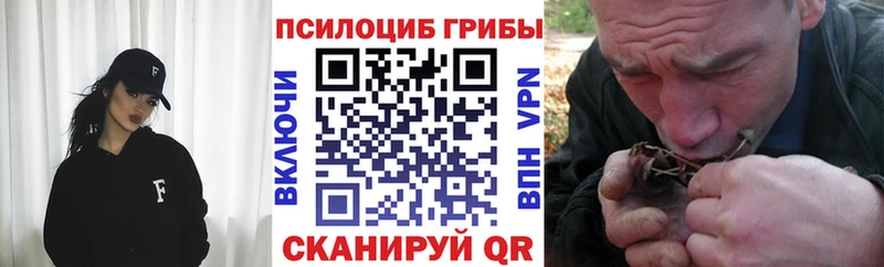 Псилоцибиновые грибы Cubensis  это клад  Апшеронск 
