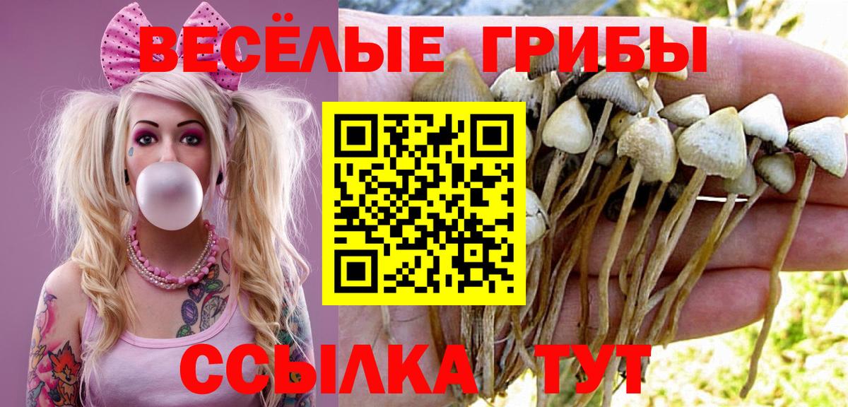 Псилоцибиновые грибы ЛСД Апшеронск