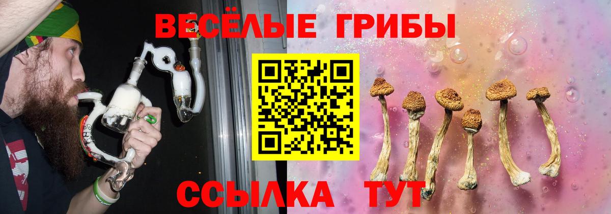 Апшеронск  Галлюциногенные грибы Psilocybe  Галлюциногенные грибы Cubensis  Вход с VPN 