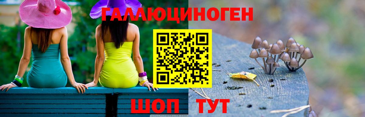 Псилоцибиновые грибы ЛСД  что такое наркотик  Апшеронск  Галлюциногенные грибы мухоморы 